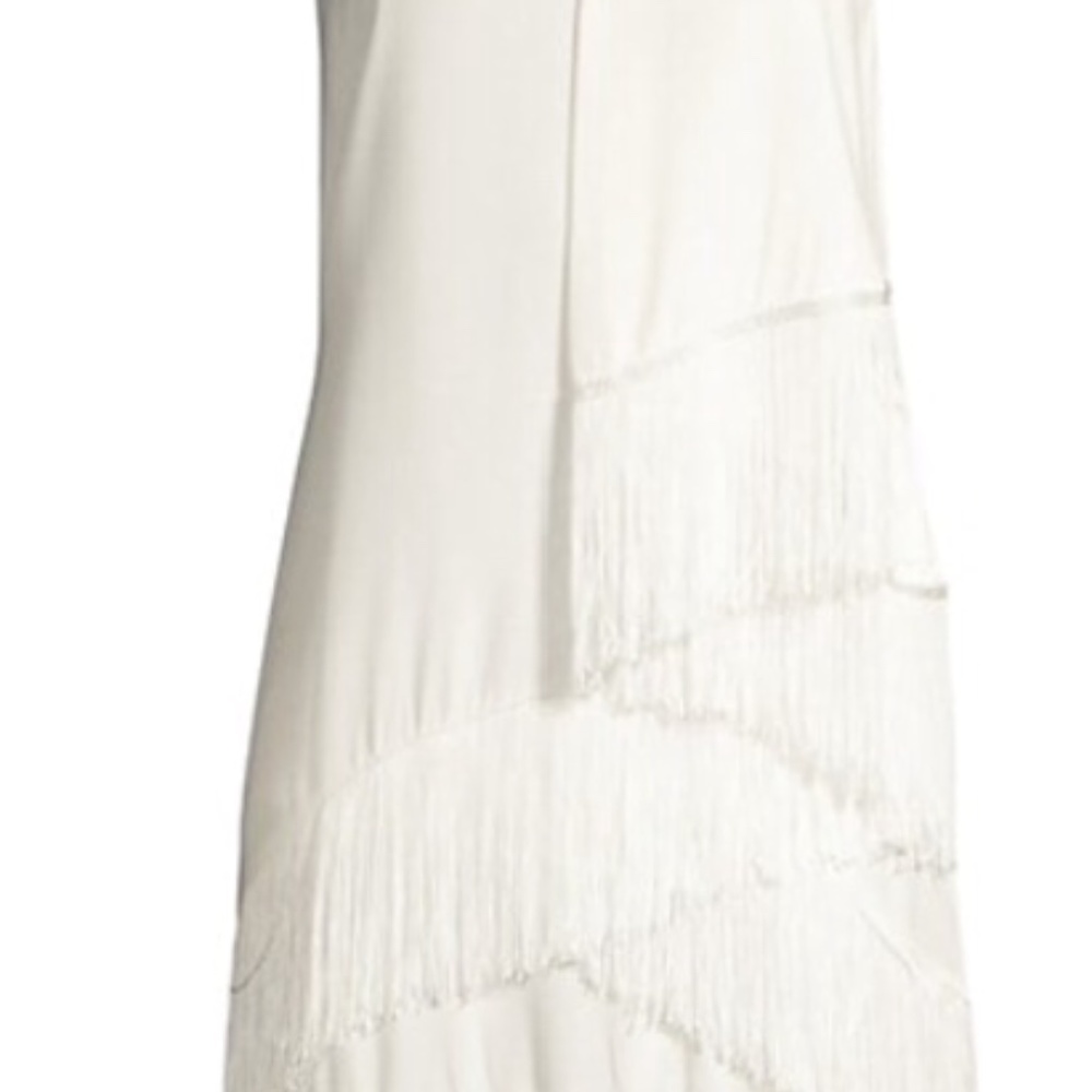 Joie Amiyah fringe dress